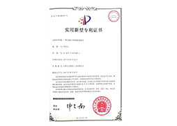 電鍍結合砂輪修整裝置